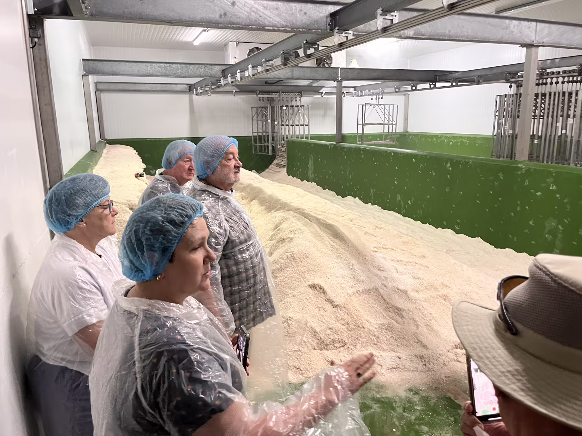 Visitors in protective gear observing the Iberian ham curing process in a Spanish facility.