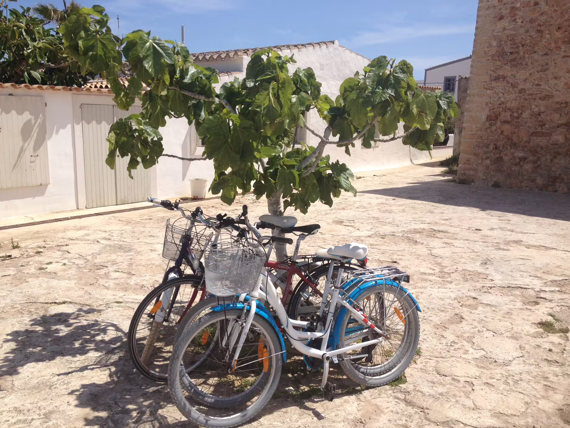Rental bikes parked in a Formentera village, part of Ibiza to Formentera day trip by bike with ferry transfer