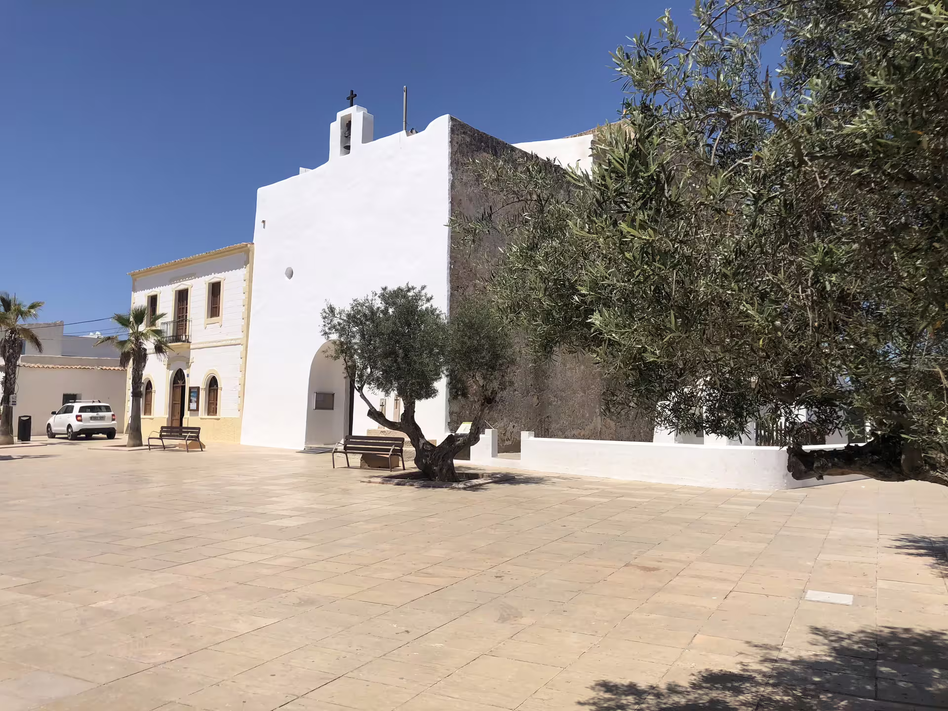Ibiza village plaza by historic white church on official guided bus tour with fast ferry, olive trees and benches