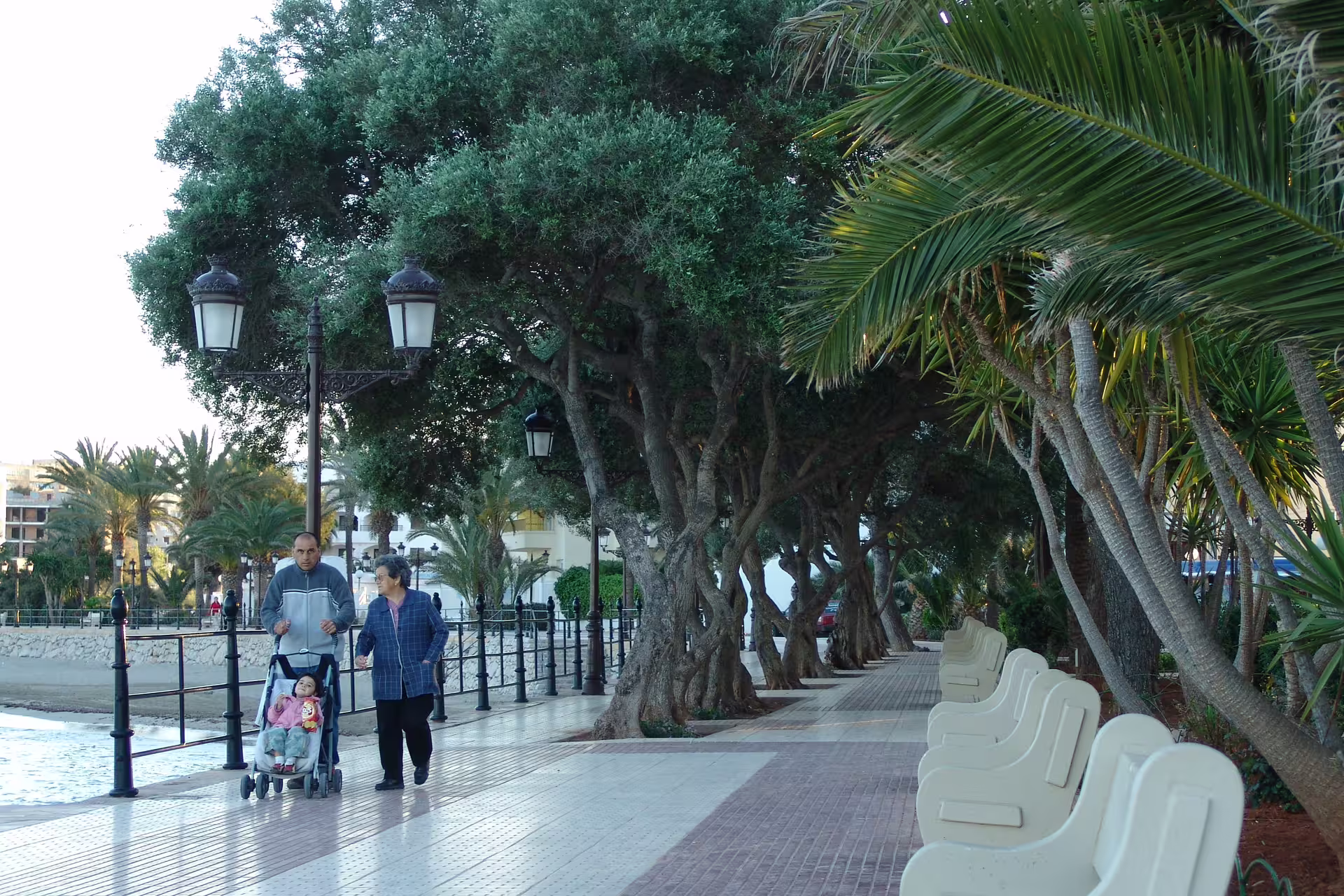 Palm-lined Ibiza promenade stop on island bus tour with official guide, seaside walkway and benches