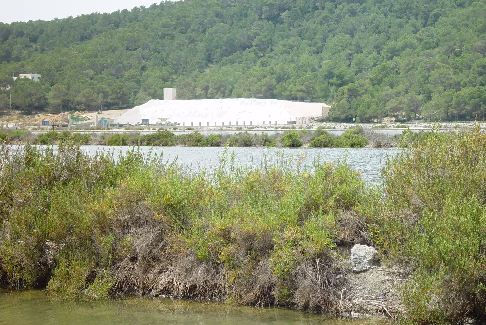 Ibiza Las Salinas lagoon with coastal shrubs and salt piles, bus island tour with official guide photo stop