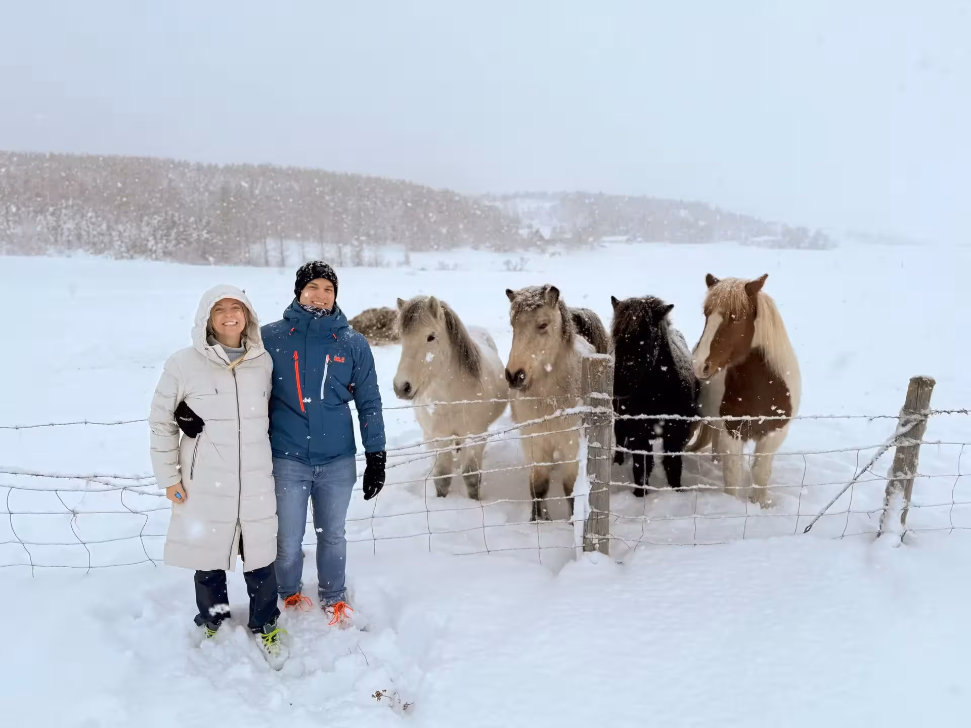 Couple with Icelandic horses in snowy countryside, private horseback experience on Iceland holiday tour