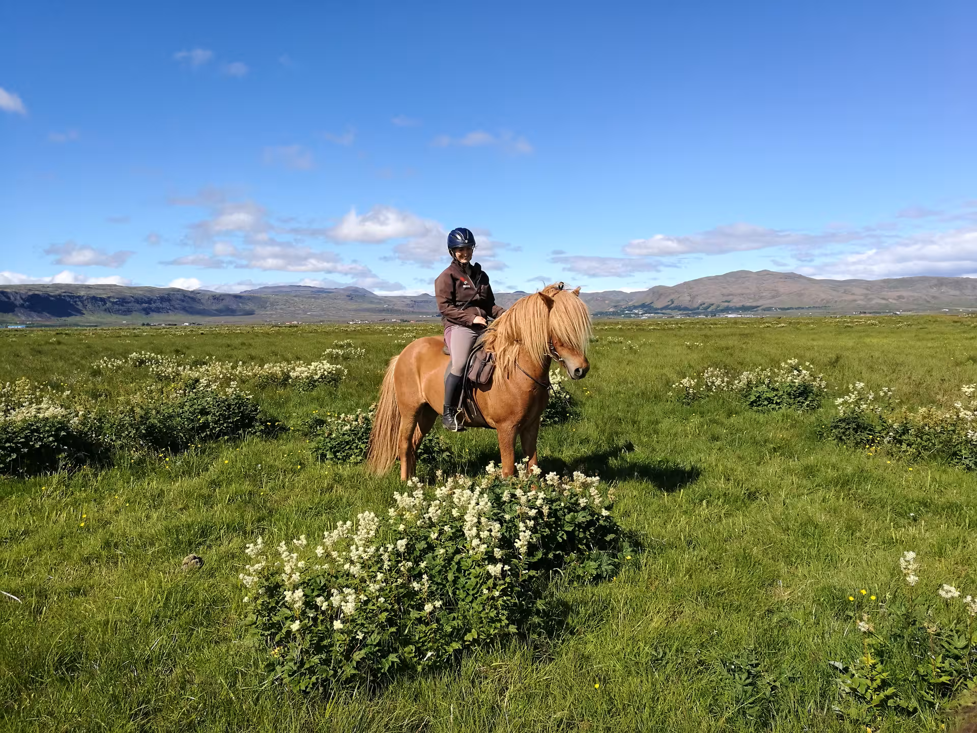 Rider on Icelandic horse in green meadow with mountain views on 05B Below the Mountains tour