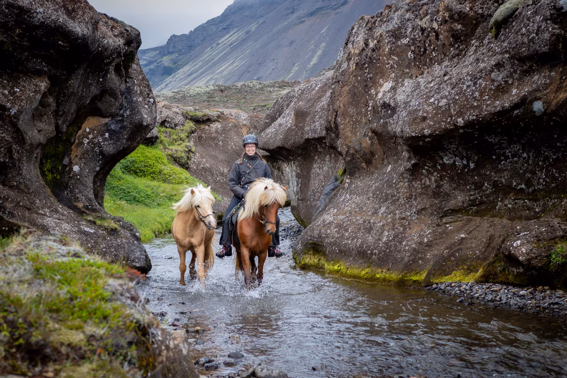Rider on Icelandic horse crossing a rocky river canyon on Valley of Horses Marardalur tour