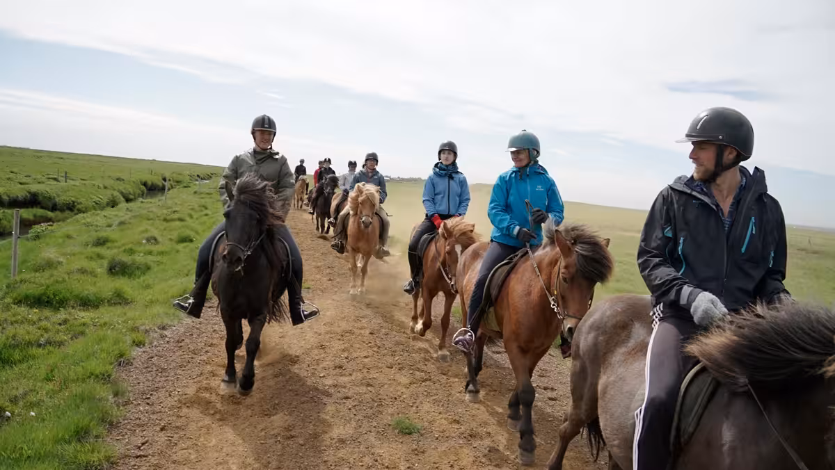 Group riding Icelandic horses on a countryside trail, part of Riding and Gullfoss Geysir Þingvellir tour