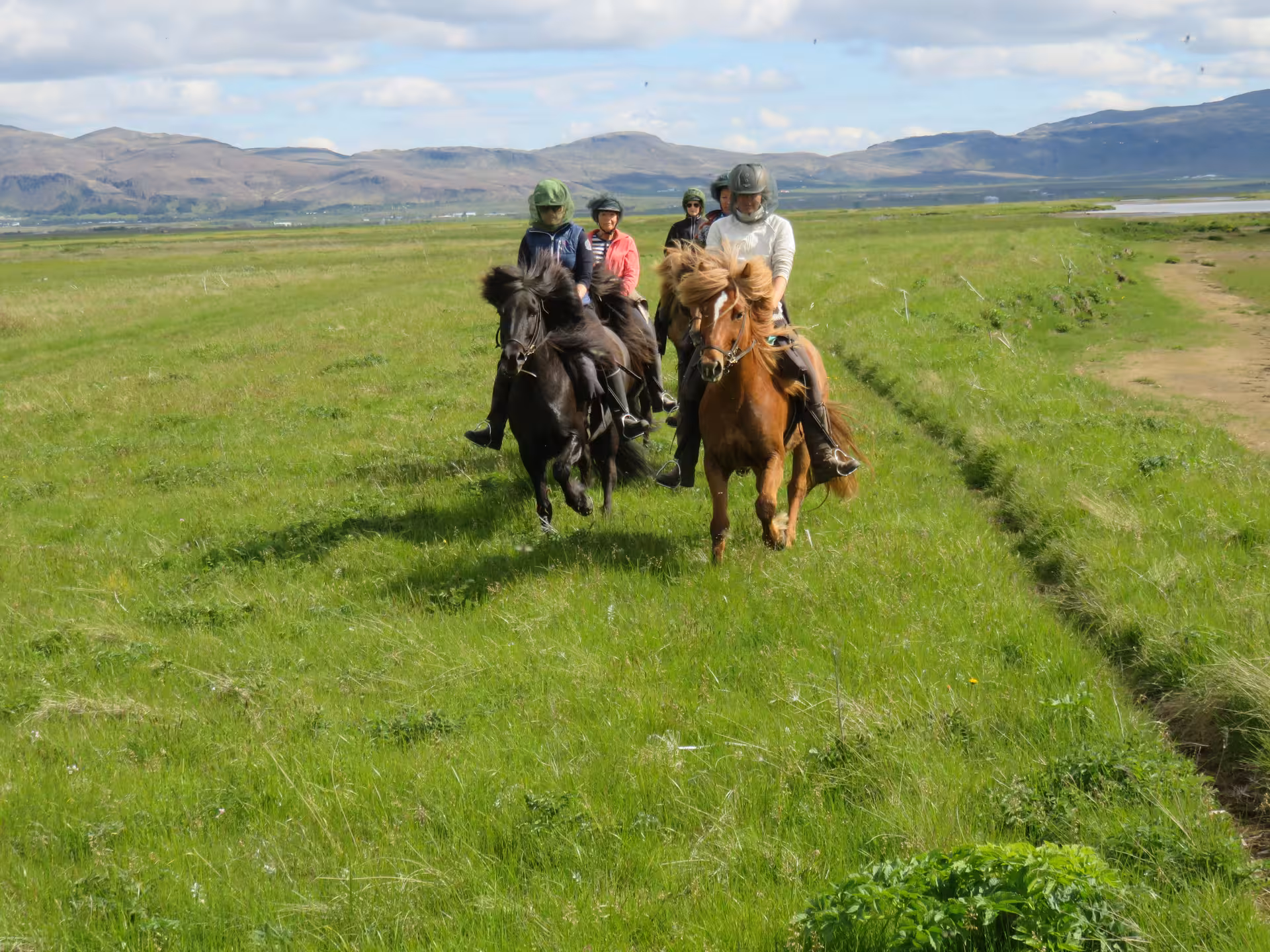 Small group riding Icelandic horses across green fields on 06A The Beach Ride with mountain views