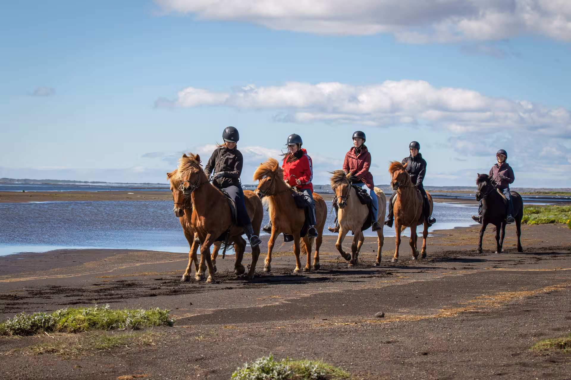 Group riding Icelandic horses on black sand shore, 05B Below the Mountains tour with coastal views