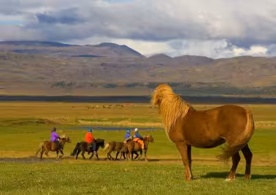 Icelandic horses crossing green riverbanks with mountains beyond on the 03B Soft River Banks ride