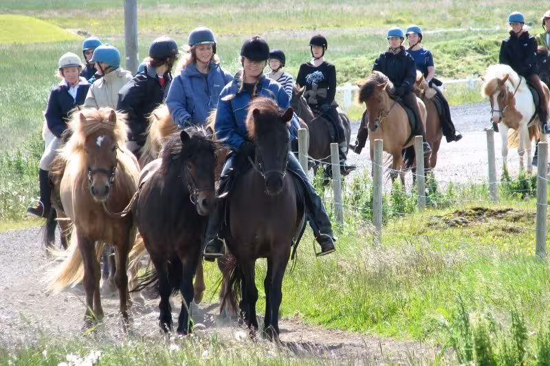 Group riding Icelandic horses along a green countryside trail, part of the 02G Icelandic Diversity tour