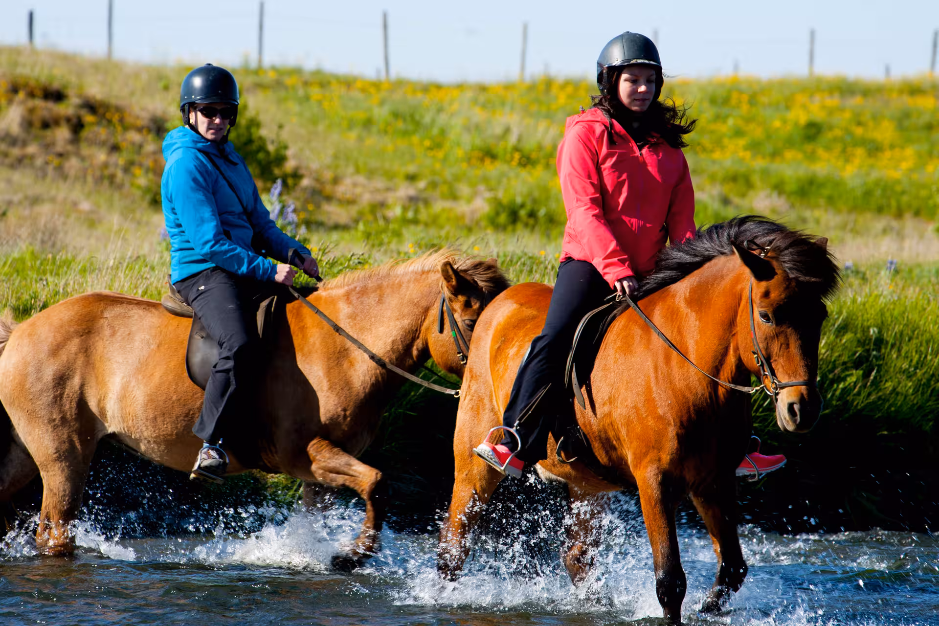 Riders on Icelandic horses crossing a shallow river on a guided horseback tour in scenic countryside