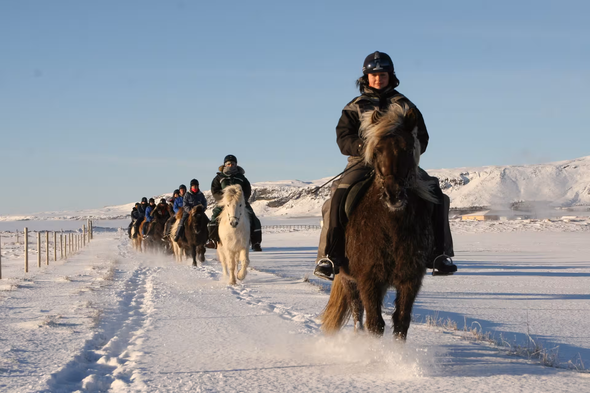 Group riding Icelandic horses through snowy countryside, a winter Reykjavik day tour adventure in Iceland