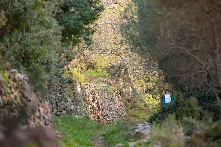 Walker exploring a stone-walled forest path on the Ikaria Hike to Alama Spring, surrounded by Mediterranean greenery