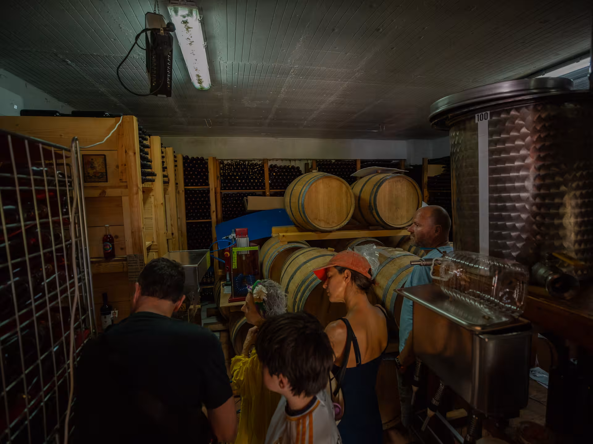 Guests touring a traditional Ikaria family winery cellar, surrounded by oak barrels and bottles of aging wine