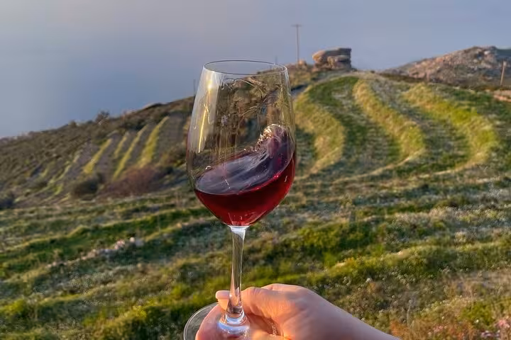 Hand holding glass of red wine above sunlit terraced vineyard hills on Ikaria, Greece family-run winery experience