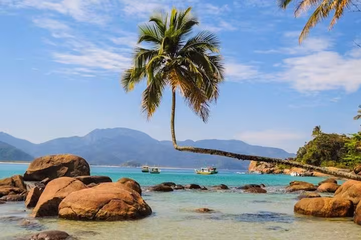 Idyllic beach on Ilha Grande with palm tree and rocks, offering a picturesque view for travelers heading to Paraty.