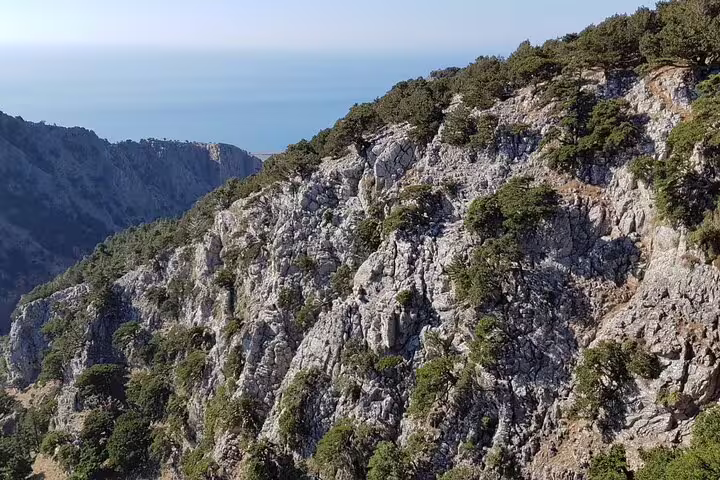 Scenic view of Imbros Gorge's rugged cliffs and lush greenery, perfect for an adventurous hiking tour.