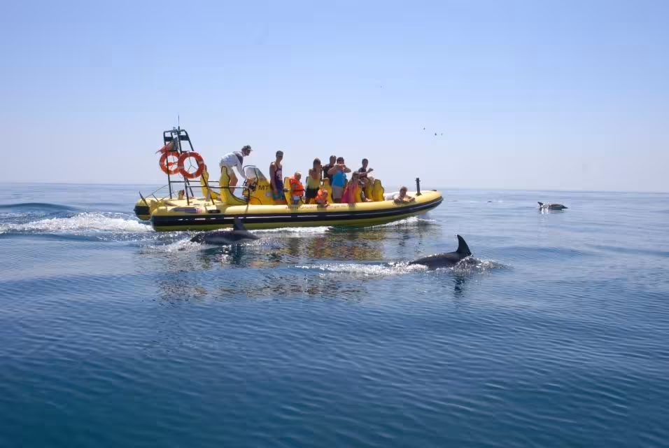 Tourists on a yellow boat observe dolphins swimming nearby on the Insonia caves and dolphin watching tour.