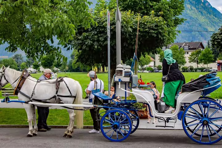 Tourists enjoy a horse-drawn carriage ride in Interlaken with lush greenery, part of the Blausee Lake private tour.