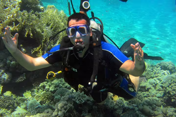 New diver exploring vibrant coral reef with scuba gear in crystal water on an intro diving and snorkeling day trip