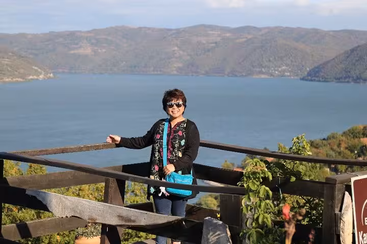 Visitor enjoying the stunning view of Iron Gate Gorge from a lookout point on the Danube day trip.