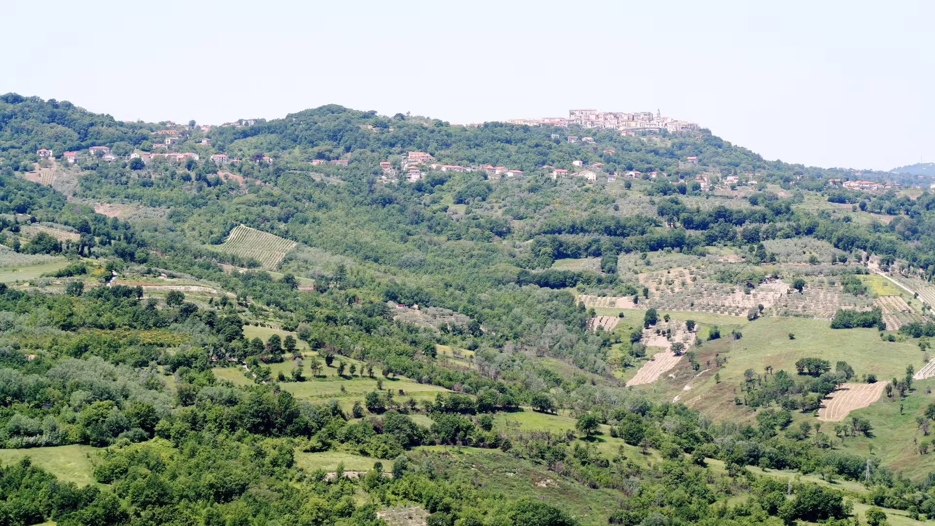 Panoramic view of Irpinia hills with vineyards, olive groves and medieval villages on a guided wine tasting tour in Campania