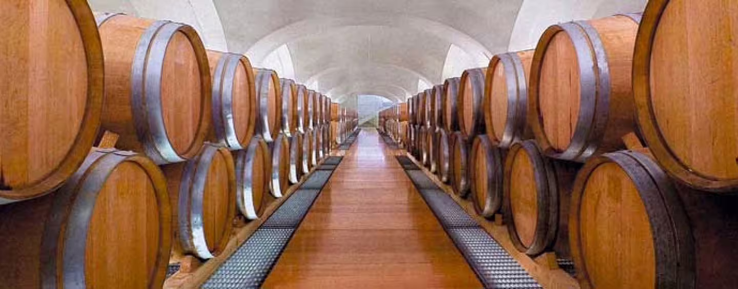 Barrel-lined wine cellar in Irpinia with oak casks aging fine Italian reds on a guided winery tour and tasting experience