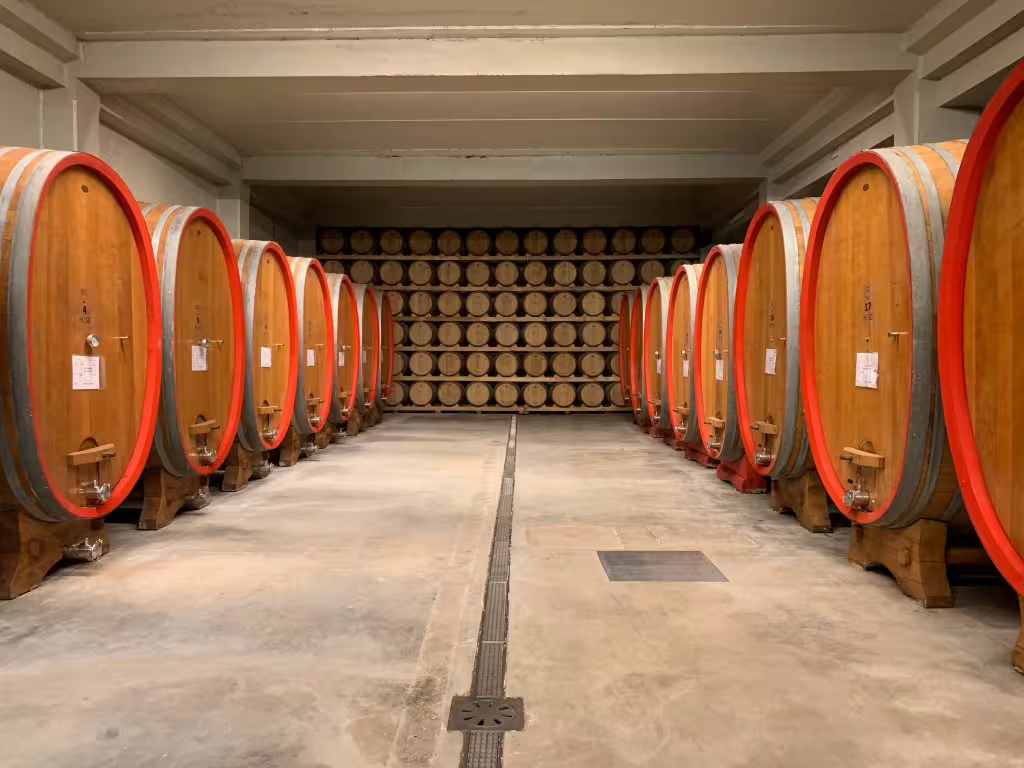 Historic Irpinia wine cellar with rows of large oak barrels used for aging Aglianico and Taurasi DOCG wines in Italy