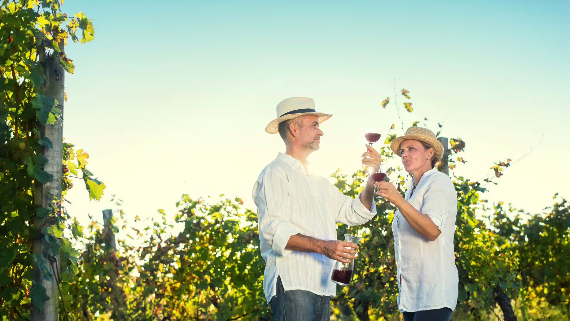 Couple enjoying red wine tasting among sunlit vine rows during an Irpinia vineyard tour in southern Italy