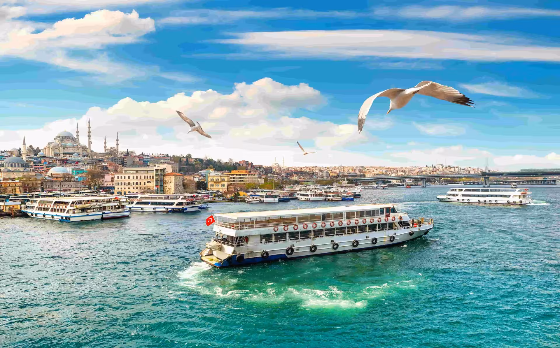 Bosphorus cruise ferry on Istanbul waterfront with mosques and seagulls, scenic start of 9-day Turkey tour