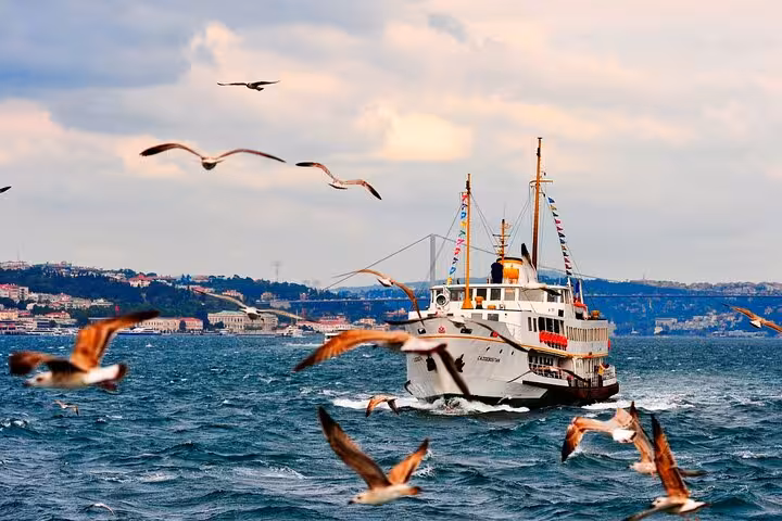 Istanbul Bosphorus sightseeing cruise boat on choppy water with seagulls and bridge in background