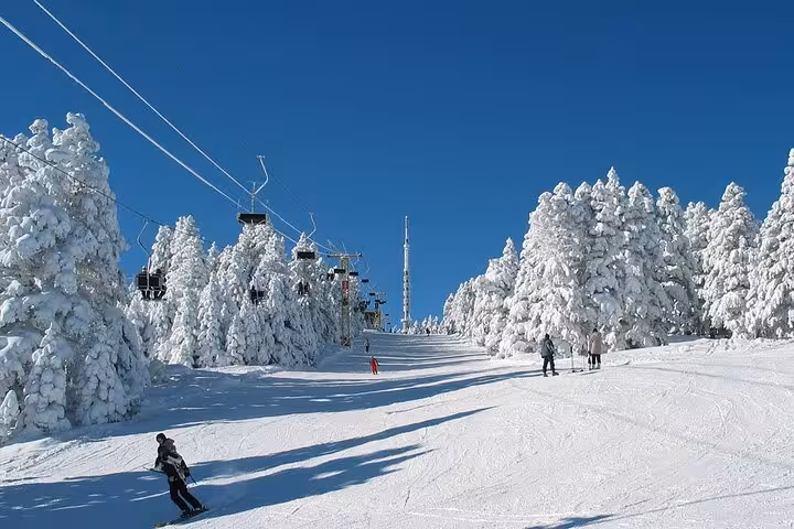Ski slope on Mount Uludag in Bursa with chairlift and snow-covered pines, Istanbul day tour experience