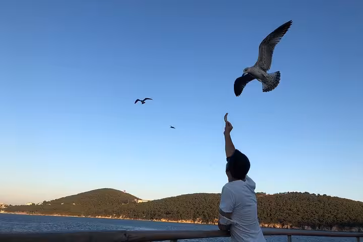 Traveler feeds seagulls on ferry to Princes Islands from Istanbul, scenic sea views en route to Büyükada