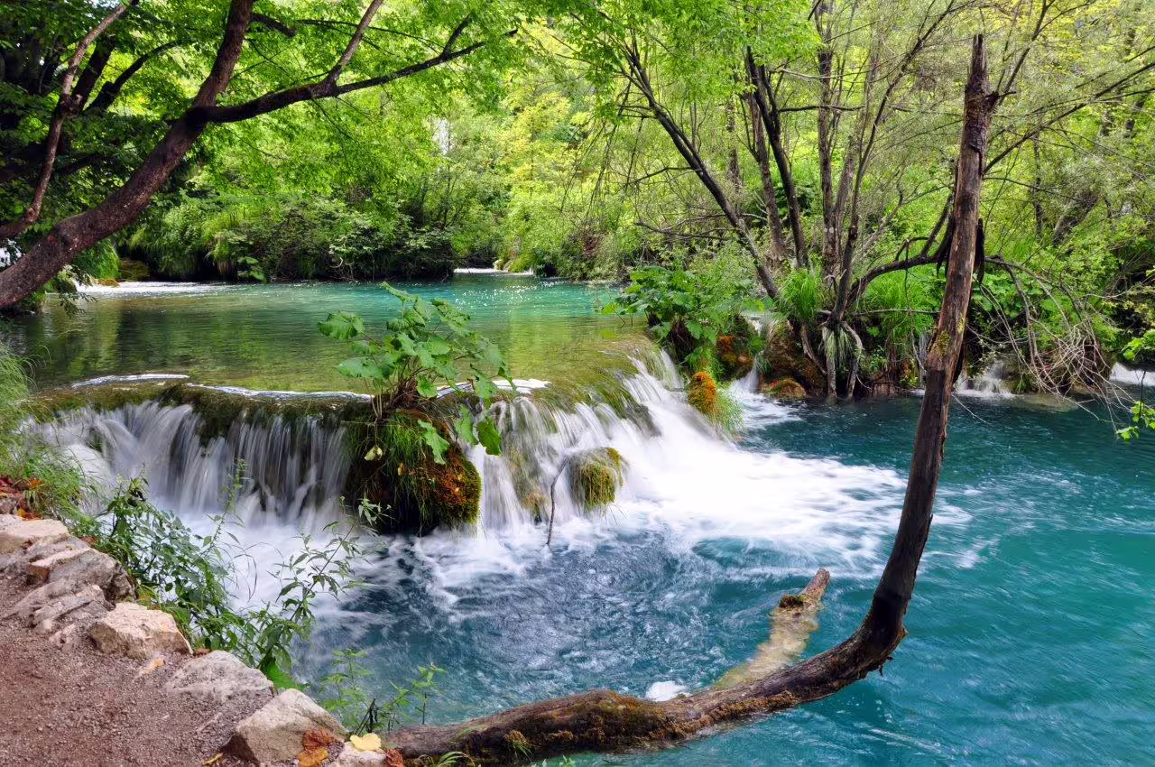 Small cascades in lush forest over clear blue river, nature highlight on Istria and Slovenia 8-day self-drive trip