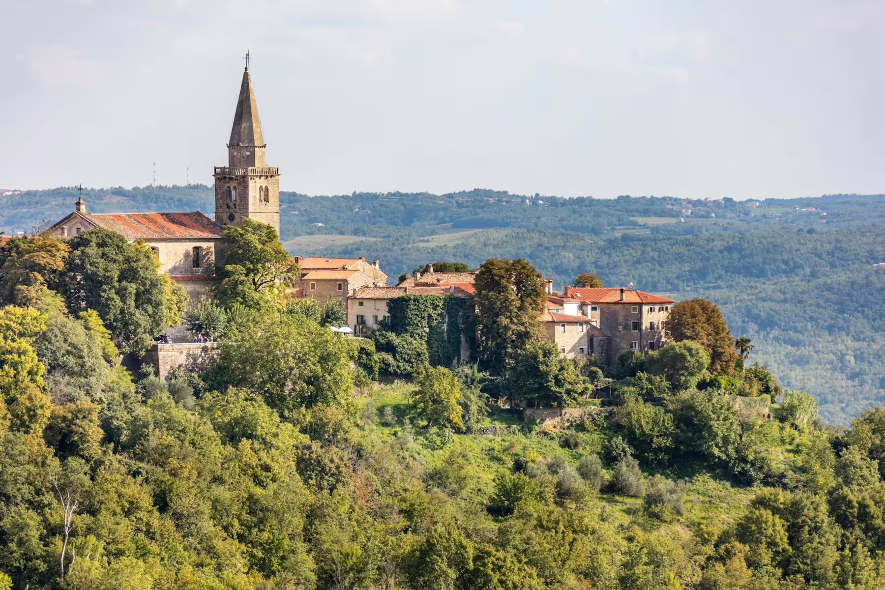 Panoramic Istrian hilltop village with stone church tower and vineyards, scenic stop on guided tour