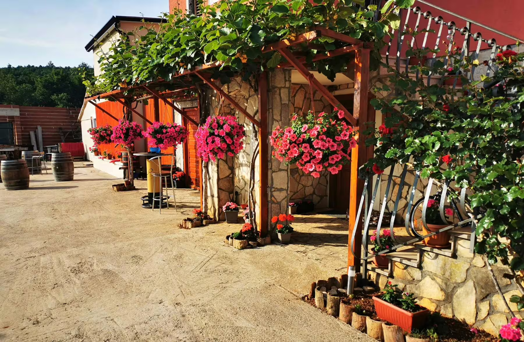 Flower-filled Istrian hilltop village courtyard with vines, ideal stop on local speciality tasting tour