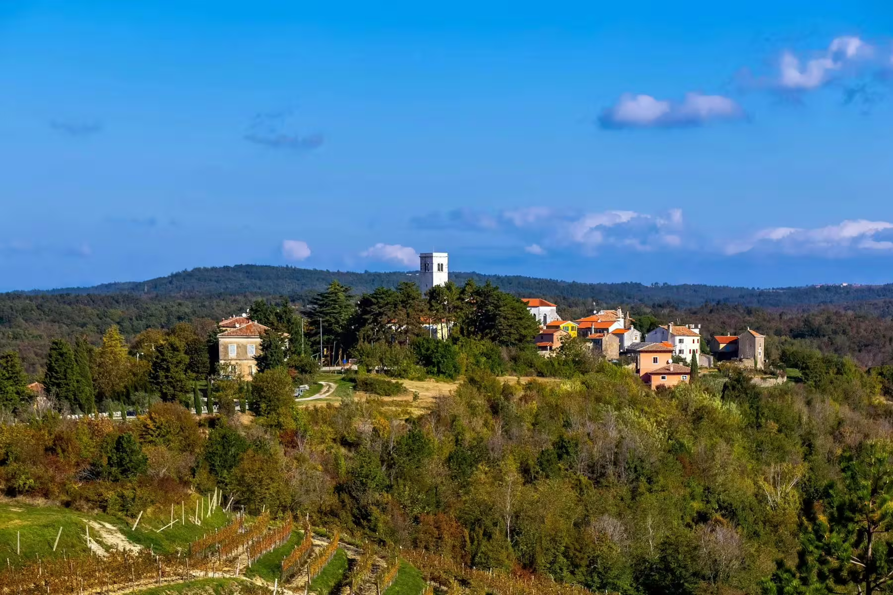 Panoramic view of an Istrian hilltop village and vineyards, scenic route on a local speciality tasting tour