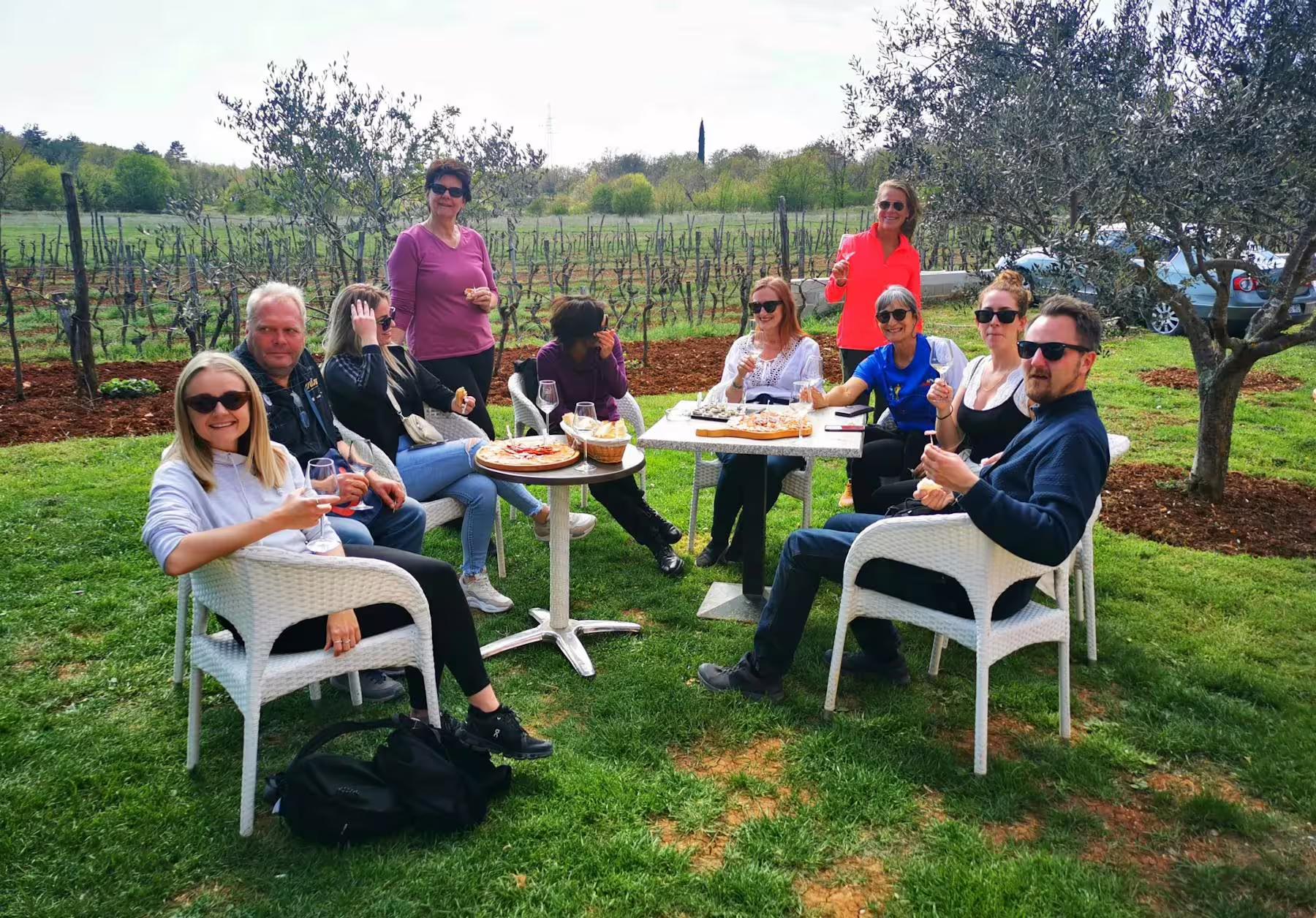 Guests enjoy Istrian wine and local speciality tasting in a vineyard on an Istrian hilltop villages tour