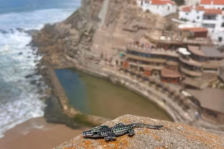 Decorative lizard figurine with a scenic view of Azenhas do Mar cliffs and ocean in the background.