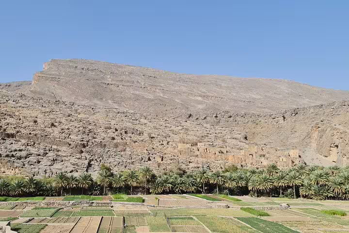 Breathtaking view of terraced fields and lush palm trees beneath Jebel Shams' rugged mountains under a clear blue sky.