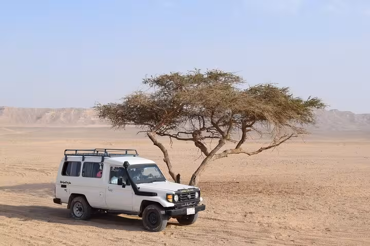 4x4 jeep parked by an acacia tree in Marsa Alam desert on a Jeep safari and Bedouin dinner tour