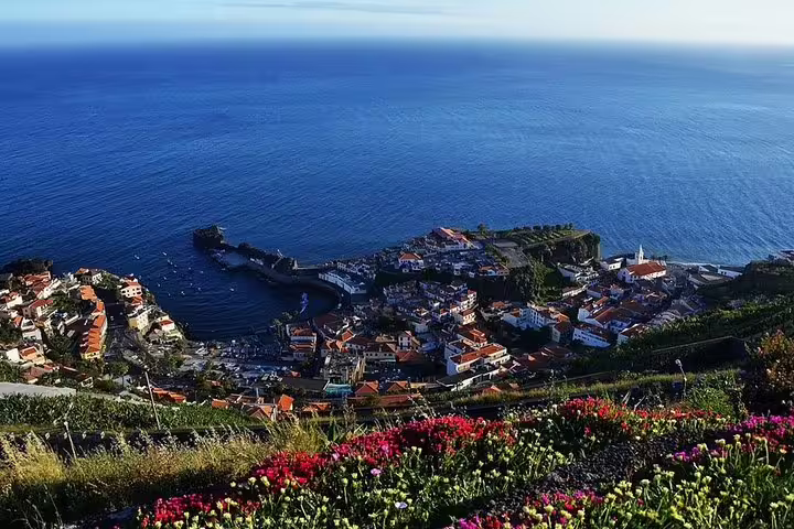 Discover the scenic coastal village of Câmara de Lobos from above, showcasing vibrant flowers and sparkling ocean views.