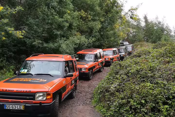 A convoy of orange Jeeps navigates a forested trail in Câmara de Lobos, showcasing the rugged beauty of Madeira.