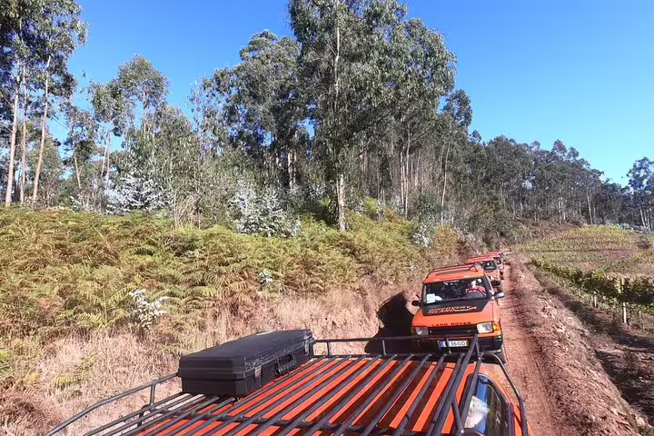 A convoy of Jeeps navigates through lush forest trails on a Câmara de Lobos half-day tour, showcasing Madeira's natural beauty.