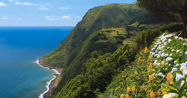 Jeep tour Northeast full day coastal viewpoint with green cliffs, hydrangeas, and Atlantic ocean panorama