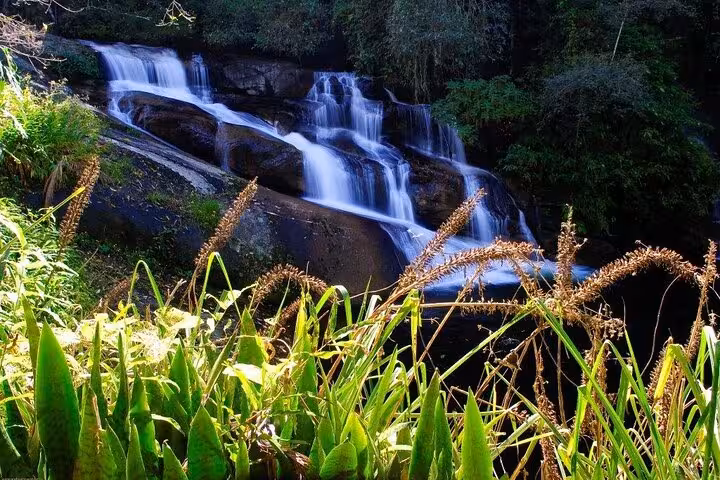 Scenic view of cascading waterfalls amidst dense greenery on a thrilling Jeep tour adventure to natural wonders.
