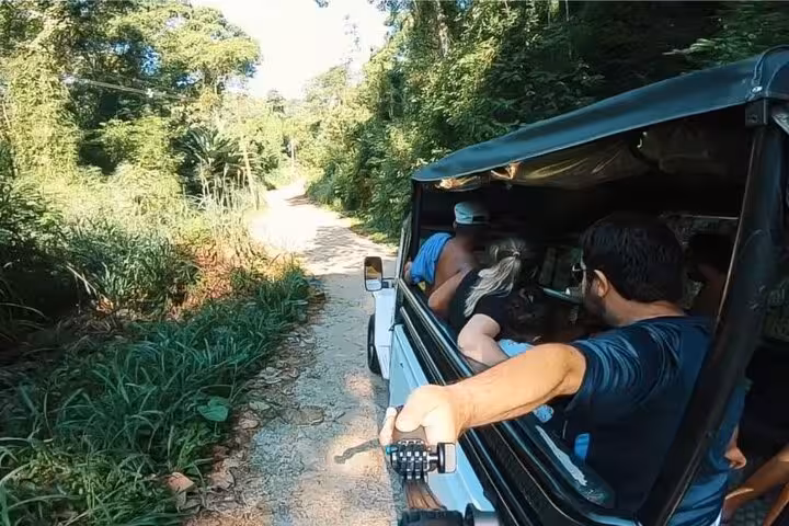 Adventurous group in an open Jeep navigating lush forest trails on a thrilling waterfall tour, perfect for nature enthusiasts.