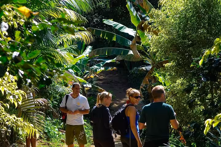 Group of tourists exploring a lush, tropical trail during a Jeep tour to waterfalls and natural stills.