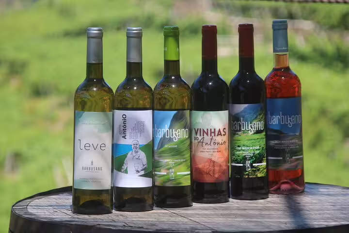 A selection of wine bottles displayed on a wooden barrel against a lush vineyard backdrop, featured in a half-day jeep wine tour and tasting adventure.
