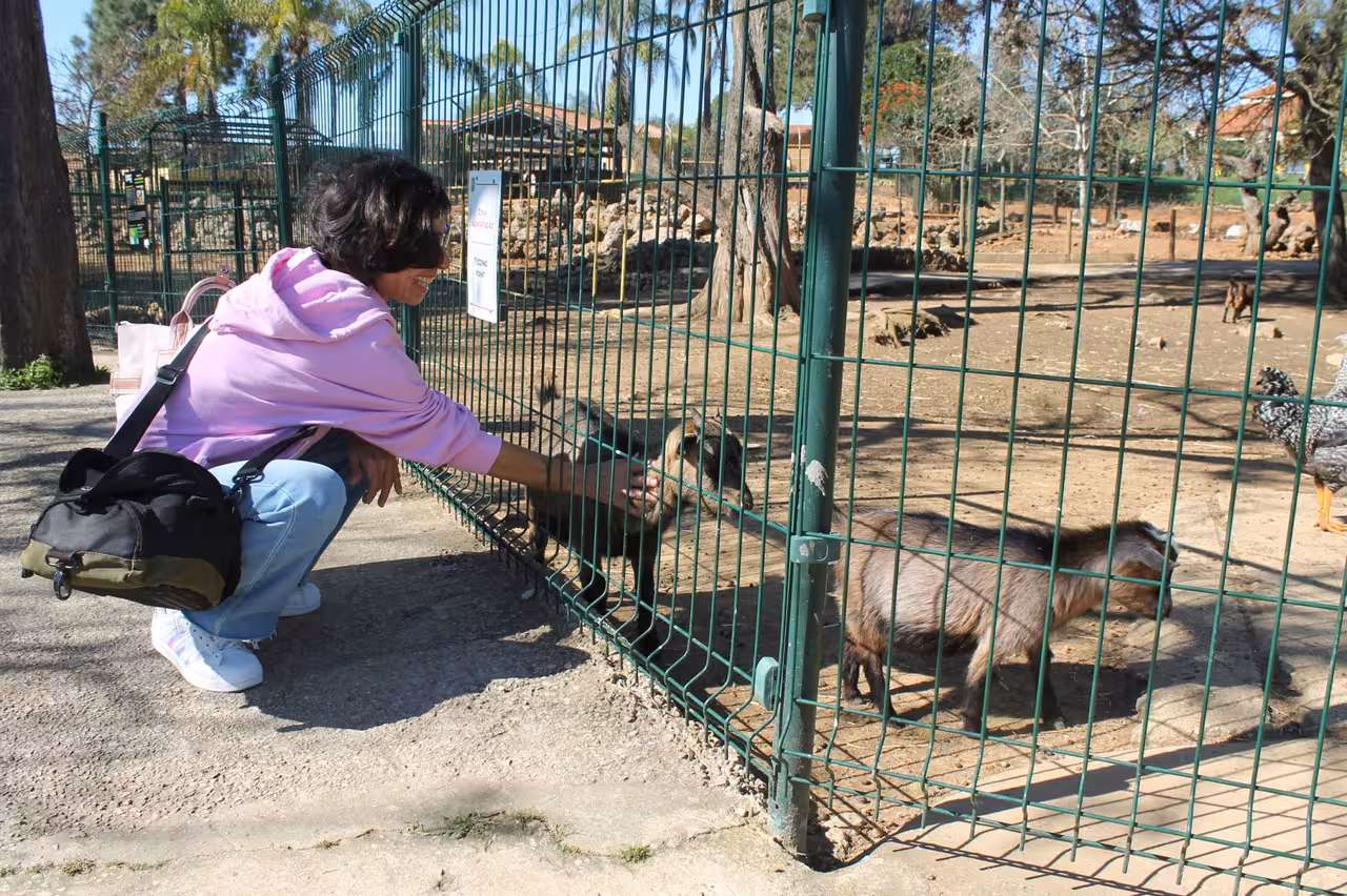 Guest feeding friendly farm animals through fence on Jeep Zoofari safari tour, family-friendly wildlife encounter