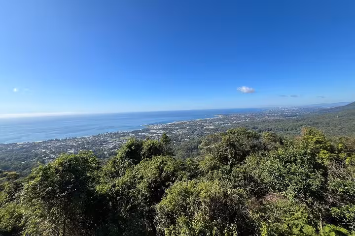 Panoramic view of Jervis Bay coastline from a lush green lookout on a private tour.